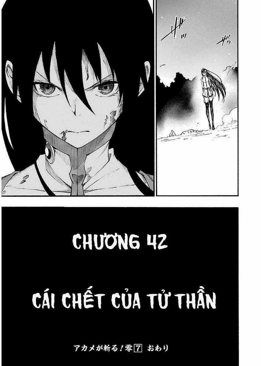 Akame Ga Kill! Zero - Chapter 42.5 - Trang 29