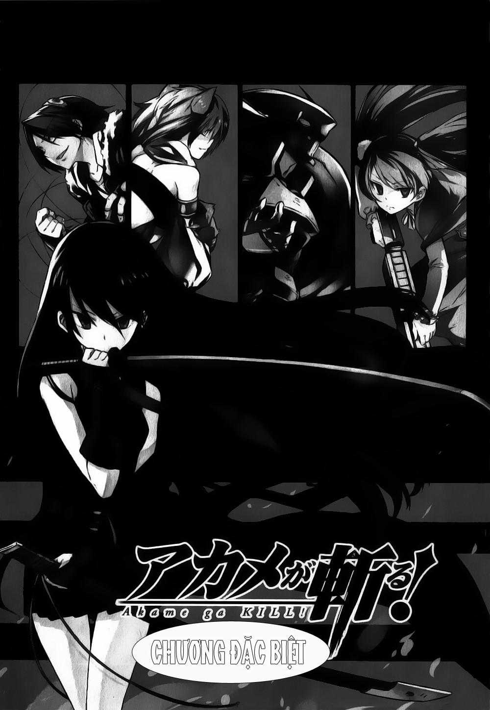 Akame Ga Kiru - Chapter 27.5 - Trang 7