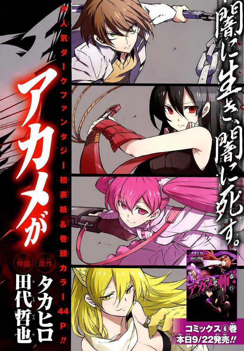 Akame Ga Kiru - Chapter 30 - Trang 3
