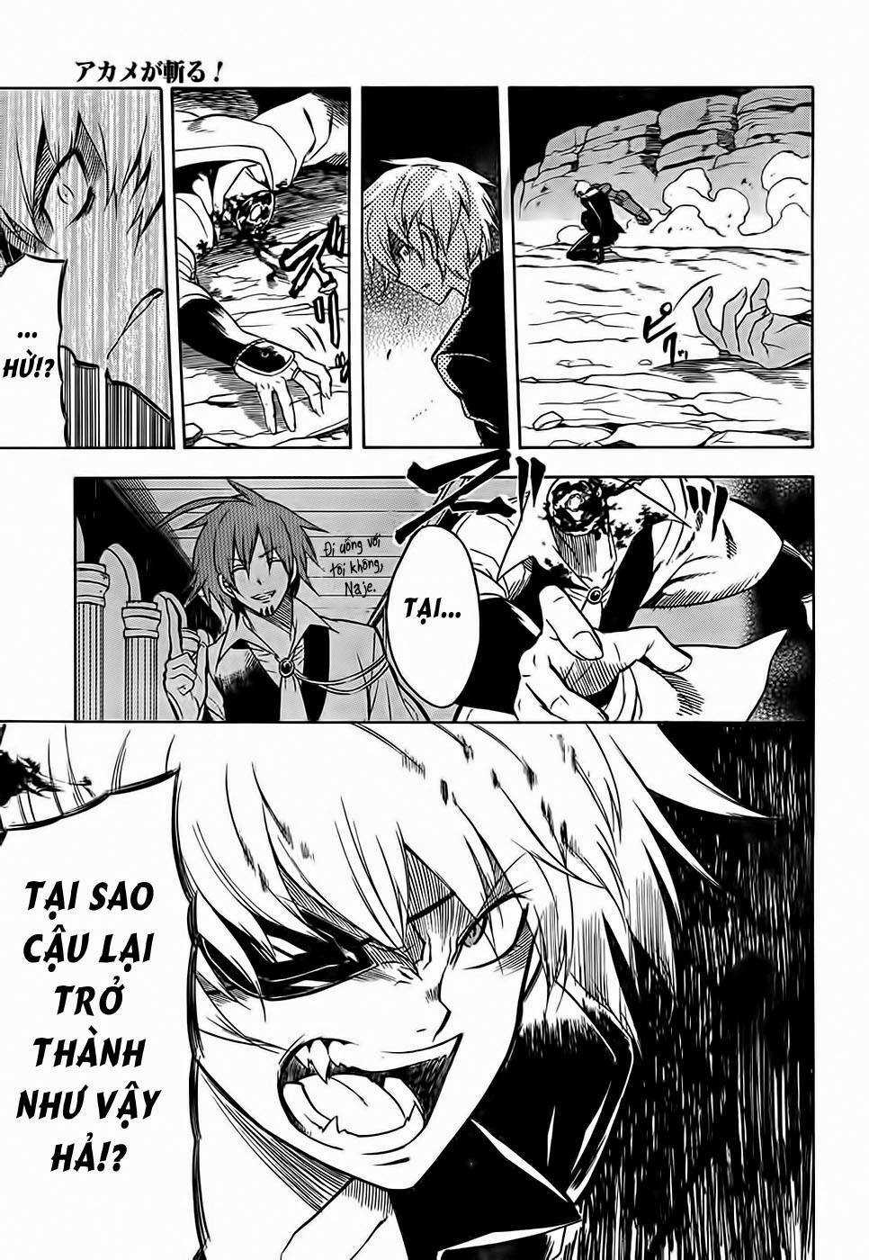 Akame Ga Kiru - Chapter 31 - Trang 18