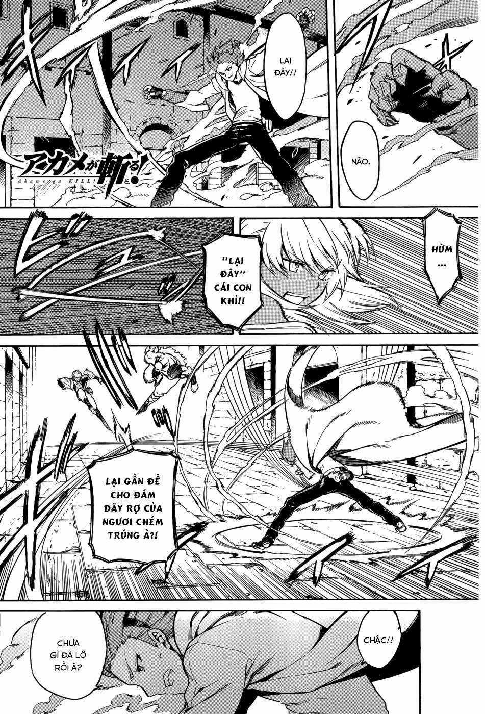 Akame Ga Kiru - Chapter 36 - Trang 2