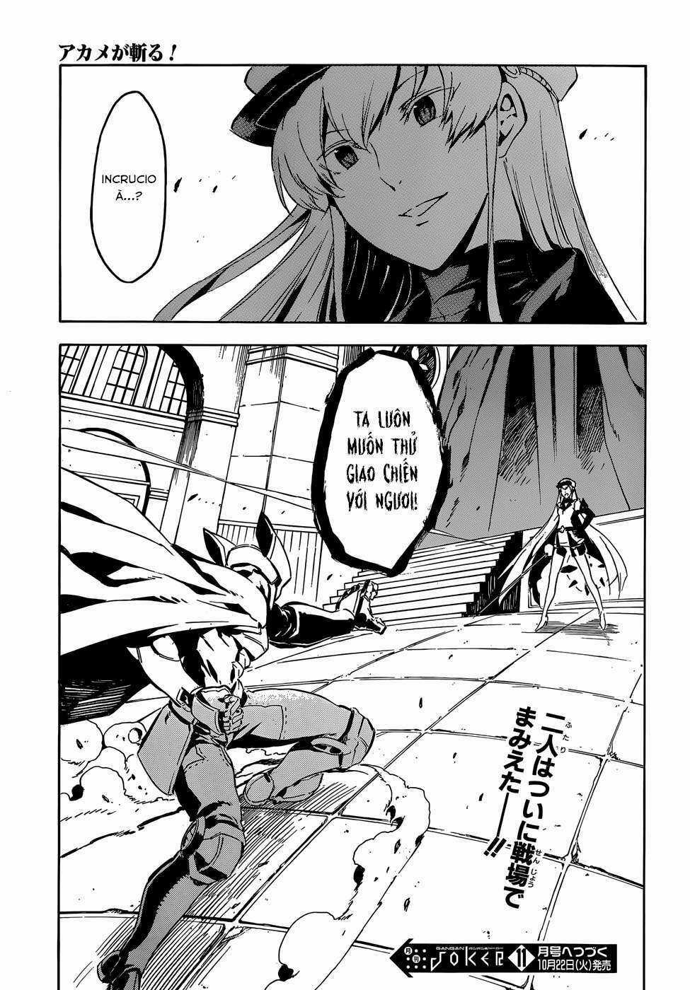 Akame Ga Kiru - Chapter 41 - Trang 45