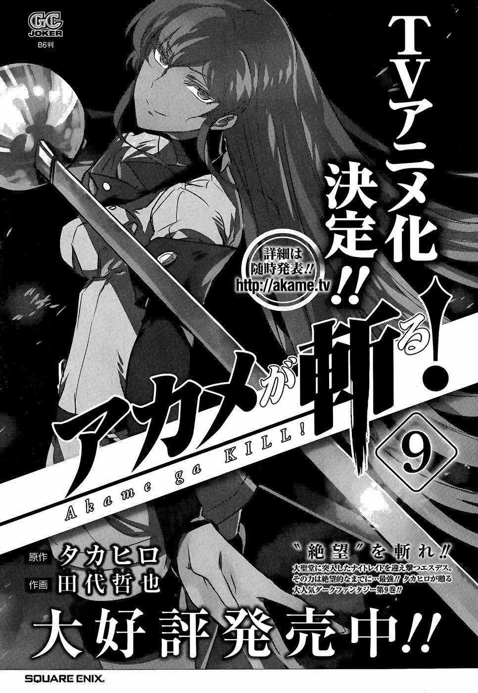 Akame Ga Kiru - Chapter 48 - Trang 54