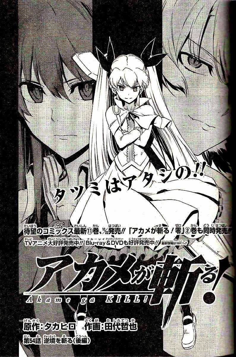 Akame Ga Kiru - Chapter 54 - Trang 5