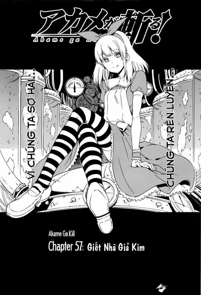 Akame Ga Kiru - Chapter 57 - Trang 3