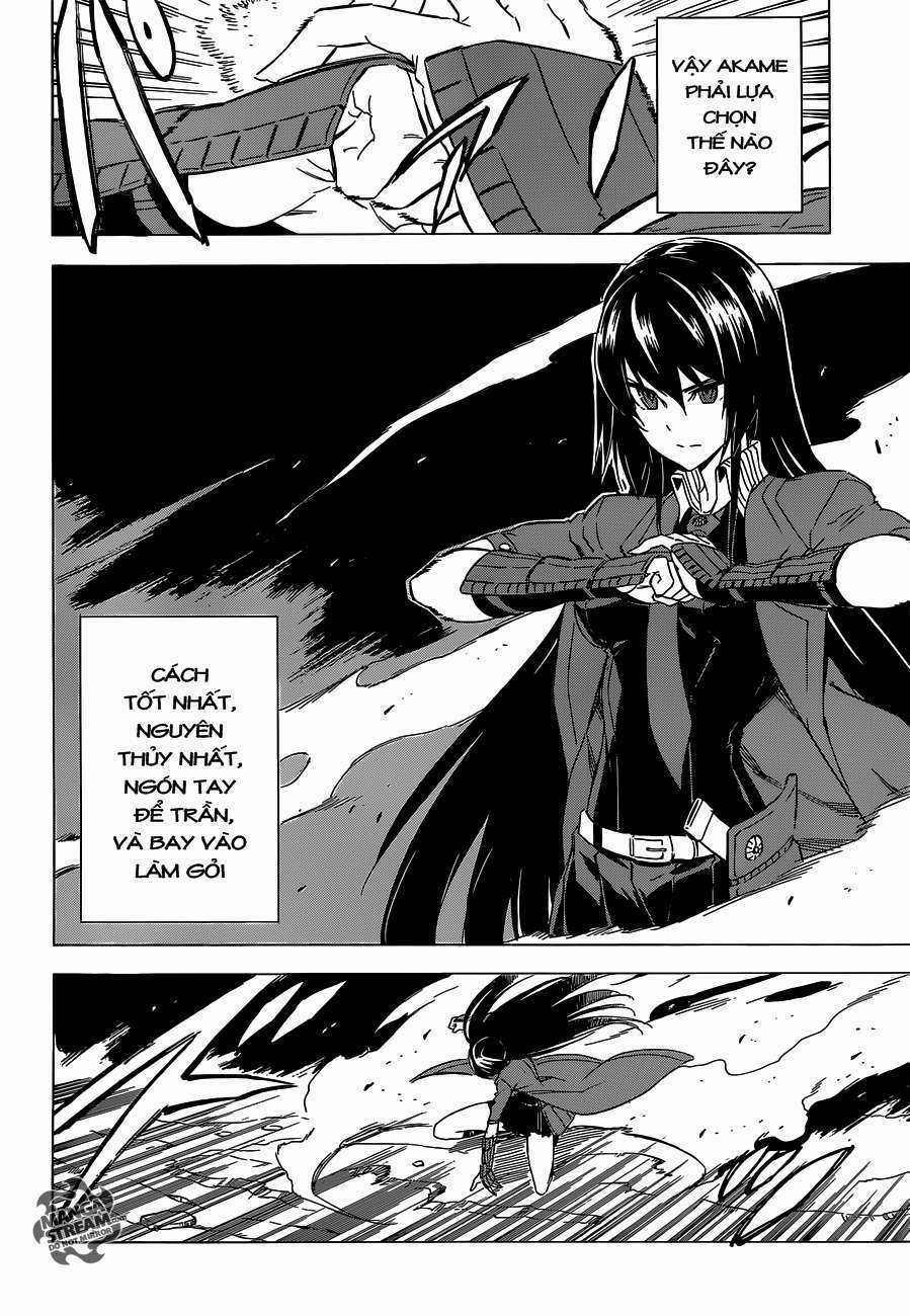 Akame Ga Kiru - Chapter 59.2 - Trang 13