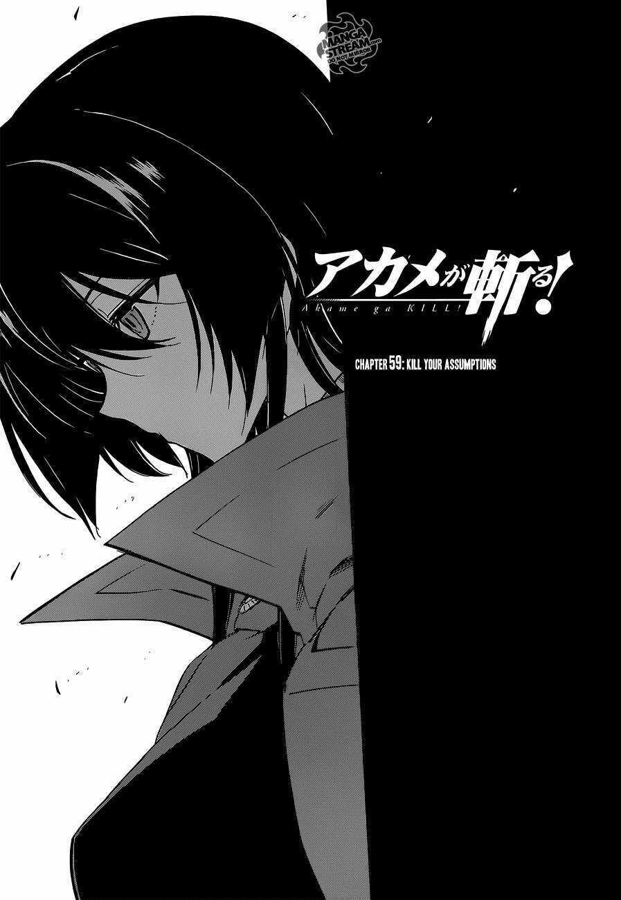 Akame Ga Kiru - Chapter 59.2 - Trang 3