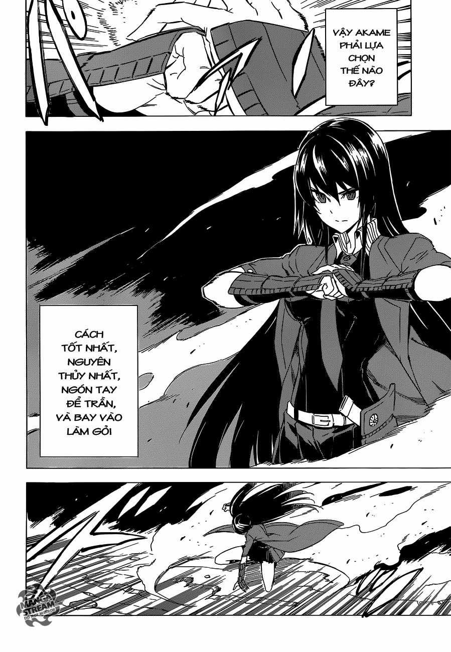 Akame Ga Kiru - Chapter 59 - Trang 14