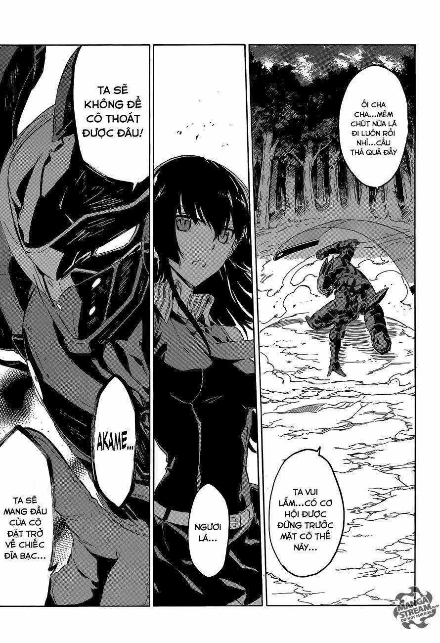 Akame Ga Kiru - Chapter 61 - Trang 36