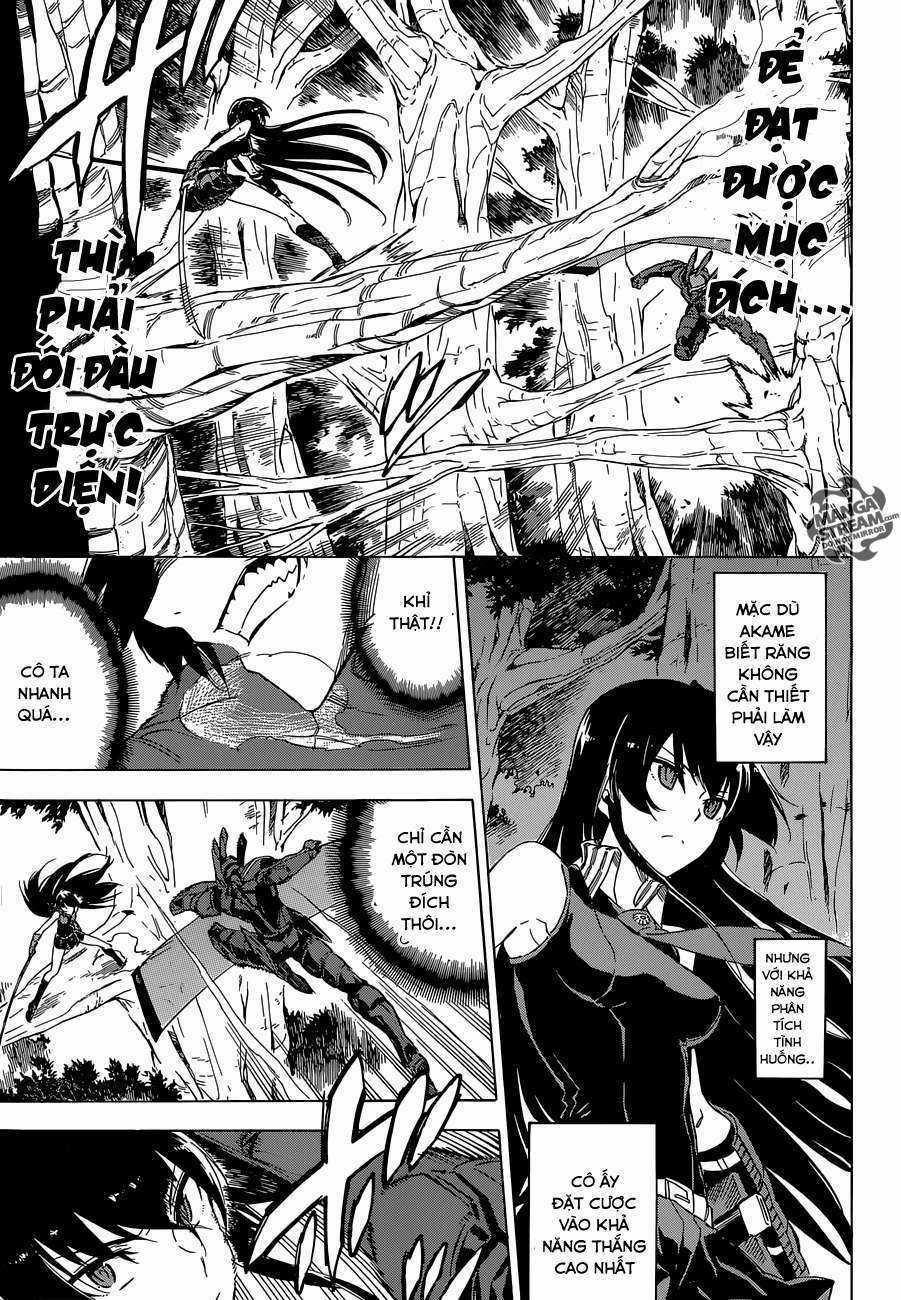 Akame Ga Kiru - Chapter 62 - Trang 18