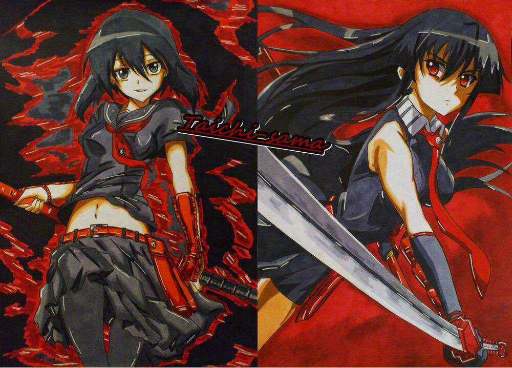 Akame Ga Kiru - Chapter 65 - Trang 2