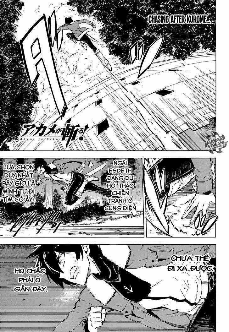 Akame Ga Kiru - Chapter 65 - Trang 3