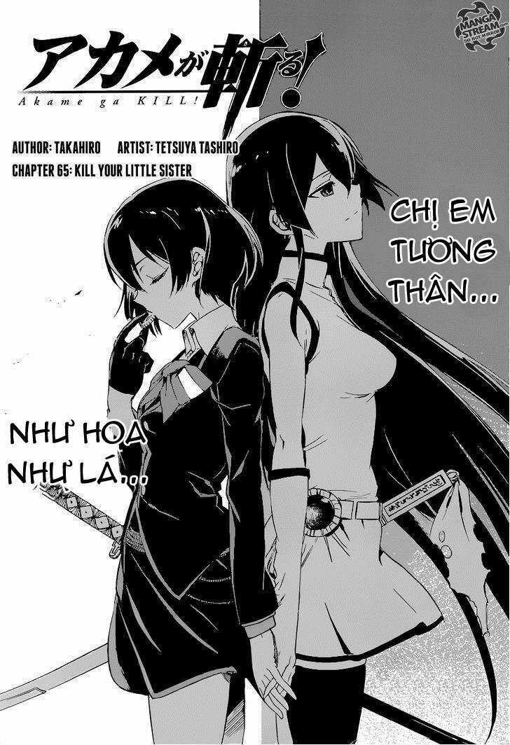 Akame Ga Kiru - Chapter 65 - Trang 5