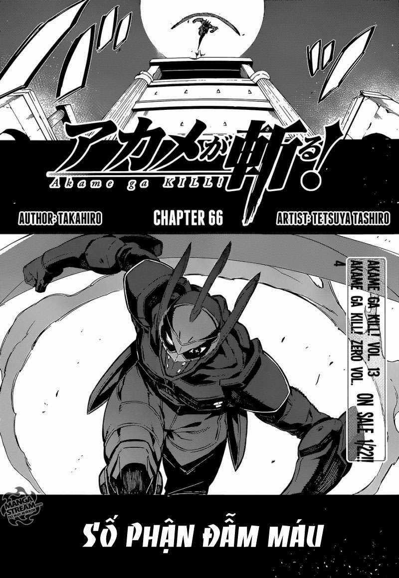 Akame Ga Kiru - Chapter 66 - Trang 6