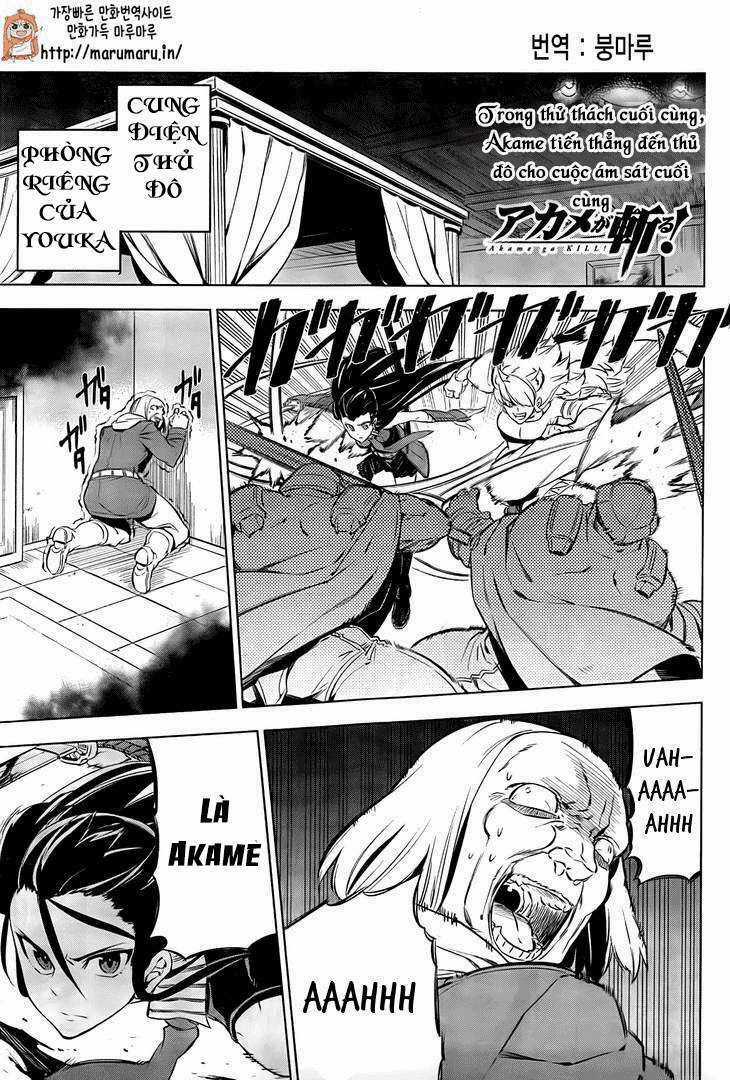 Akame Ga Kiru - Chapter 69 - Trang 3