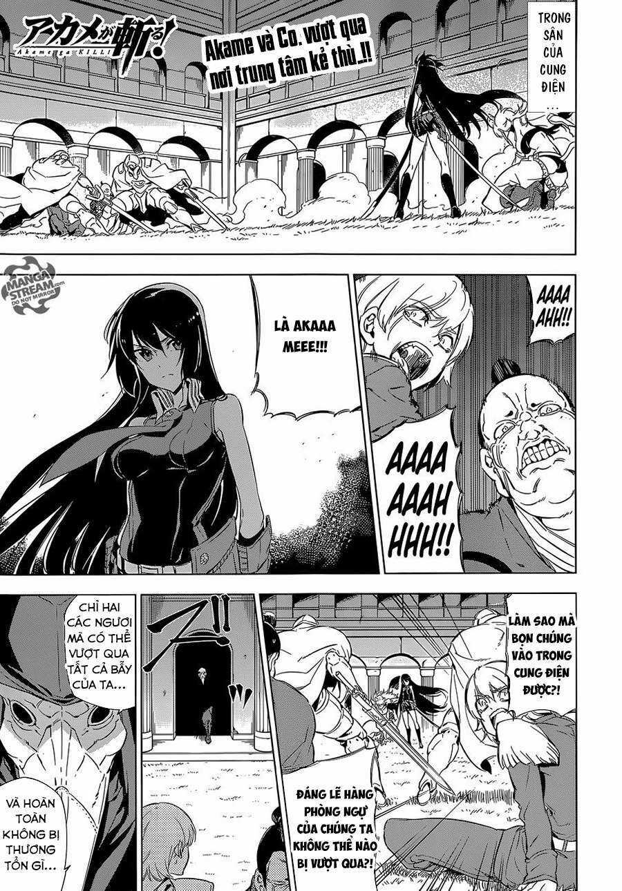 Akame Ga Kiru - Chapter 70 - Trang 2