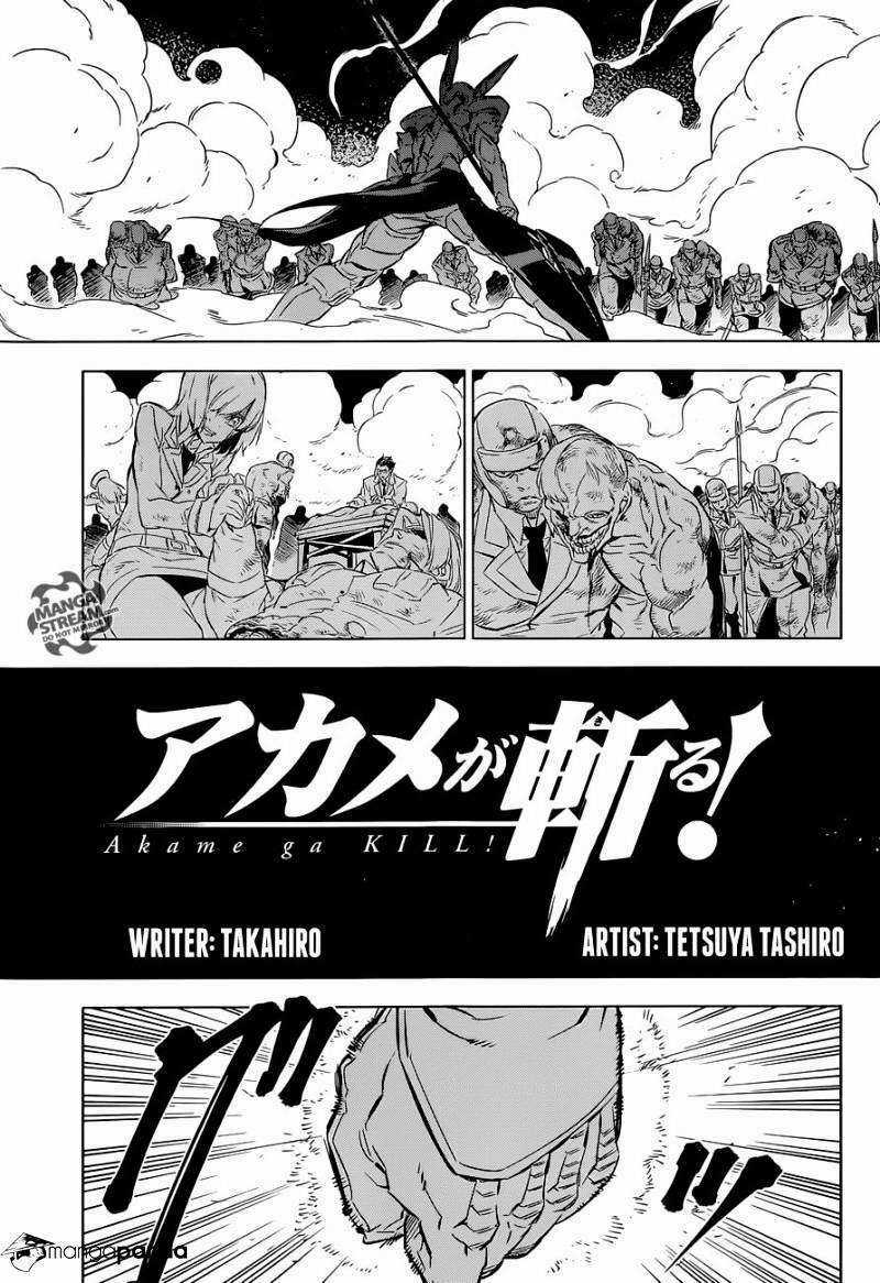 Akame Ga Kiru - Chapter 71 - Trang 5