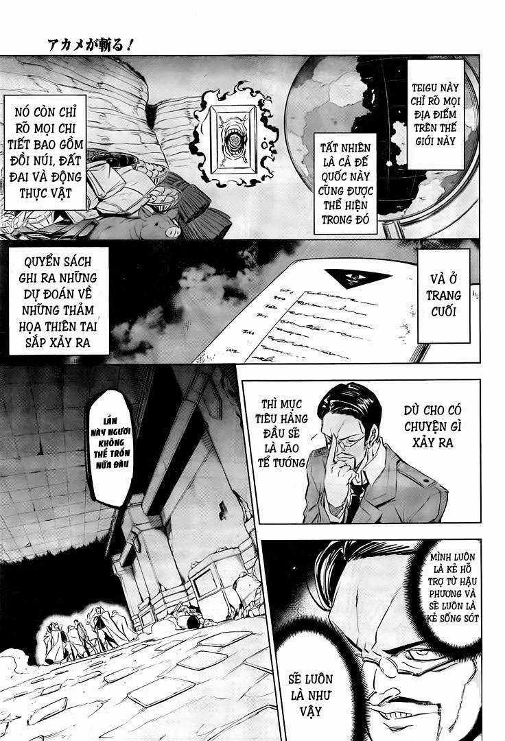 Akame Ga Kiru - Chapter 72.5 - Trang 3