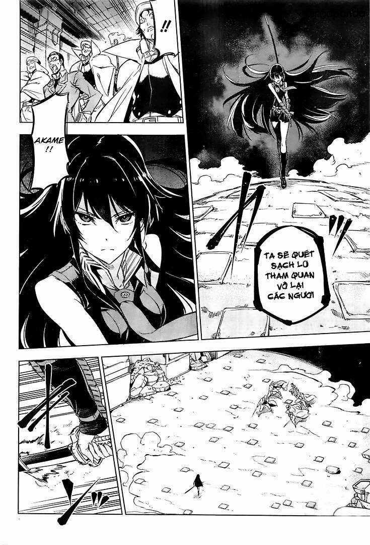 Akame Ga Kiru - Chapter 72.5 - Trang 4