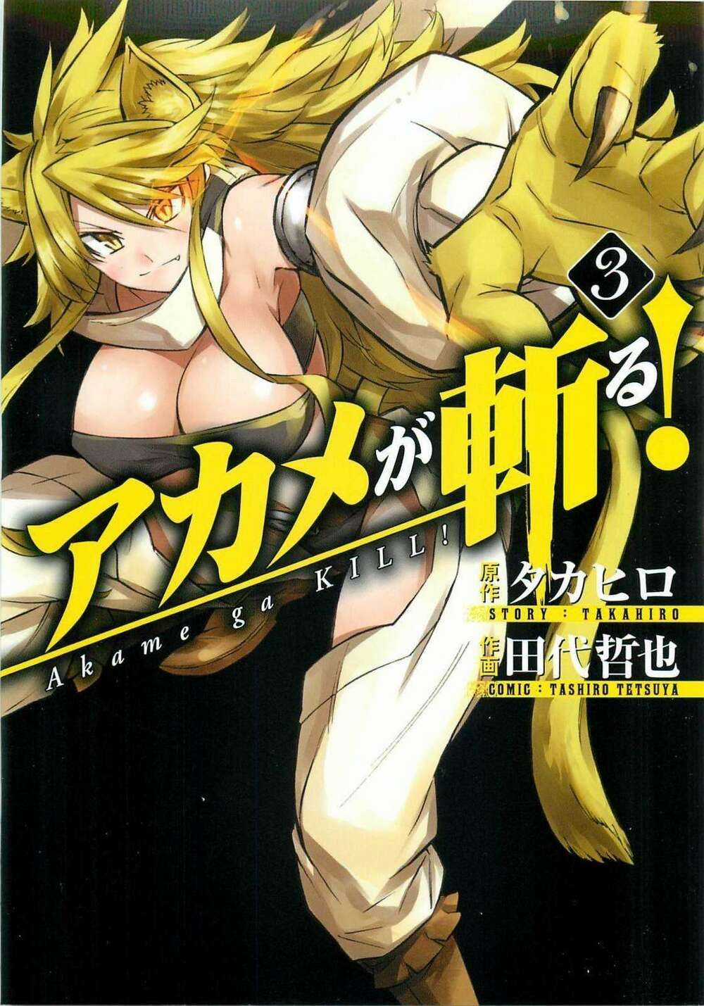 Akame Ga Kiru - Chapter 72 - Trang 2