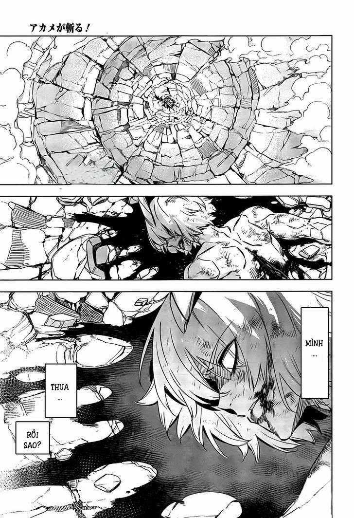 Akame Ga Kiru - Chapter 73 - Trang 14