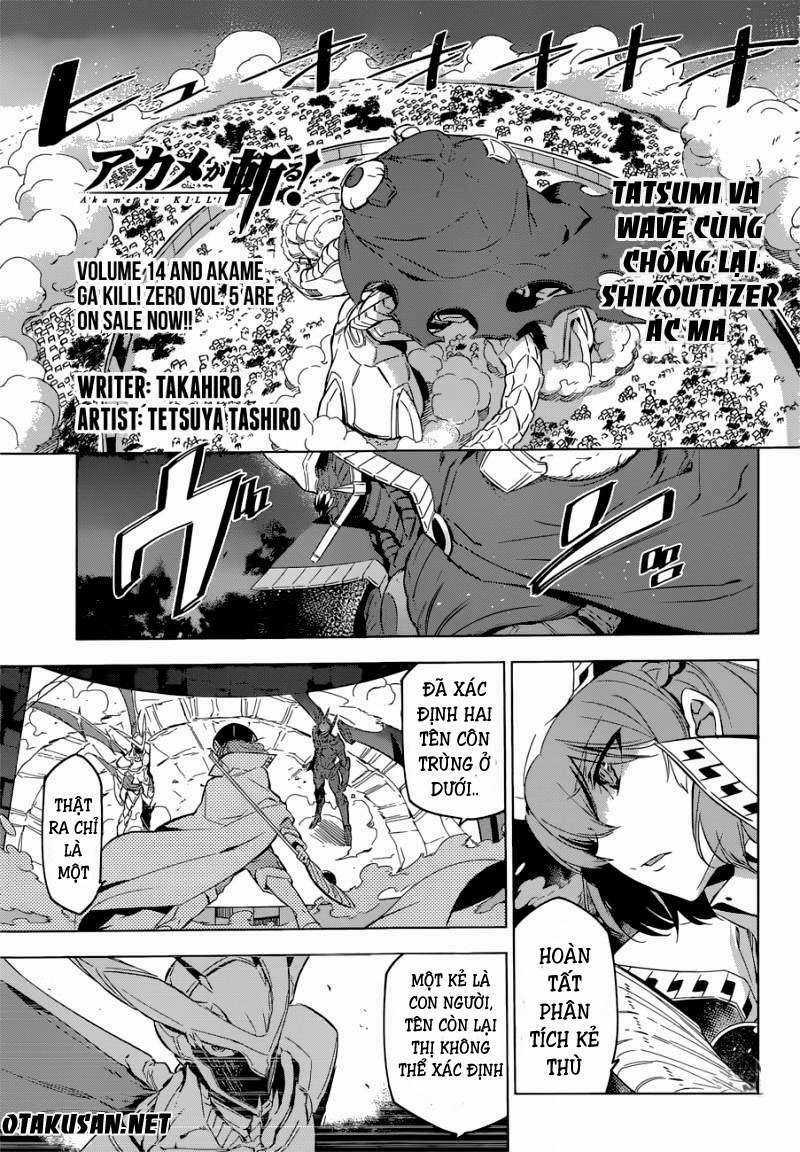Akame Ga Kiru - Chapter 74 - Trang 2