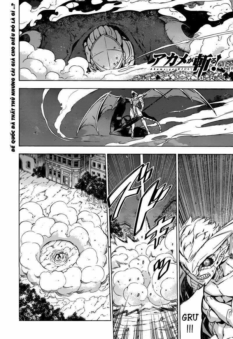 Akame Ga Kiru - Chapter 75 - Trang 3