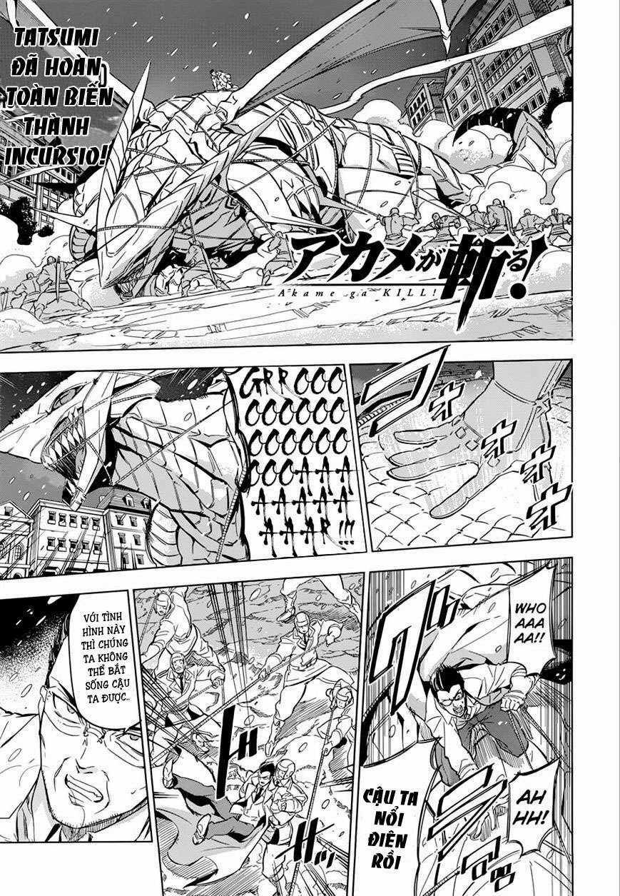 Akame Ga Kiru - Chapter 76 - Trang 2