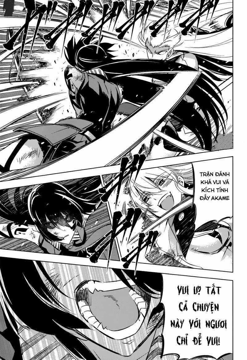 Akame Ga Kiru - Chapter 77 - Trang 17