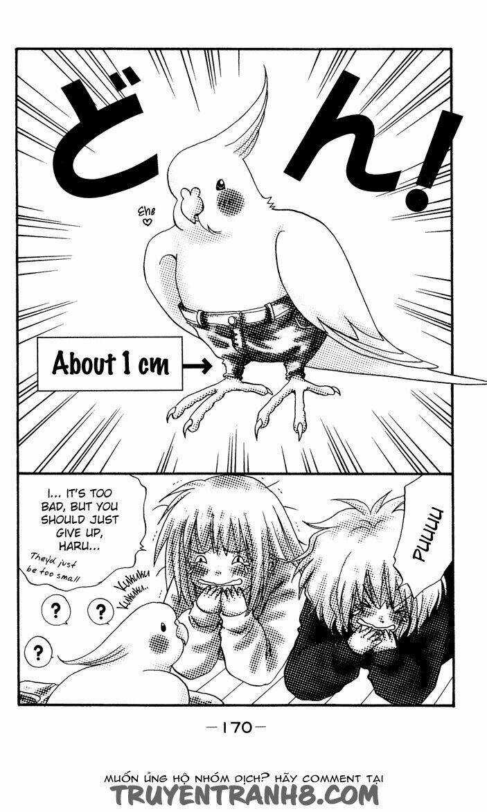 Akkan Baby - Chapter 12 - Trang 49