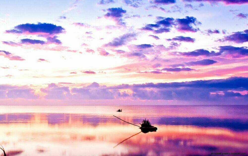 Album Natural Wallpapers - Chapter 10 - Trang 5