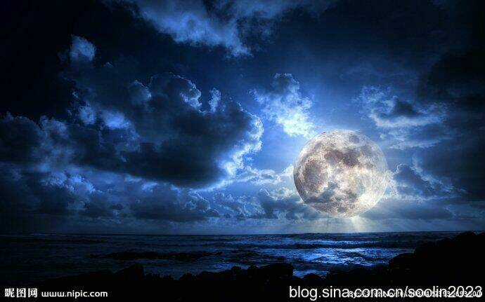 Album Natural Wallpapers - Chapter 23 - Trang 5