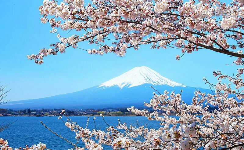 Album Natural Wallpapers - Chapter 41 - Trang 26