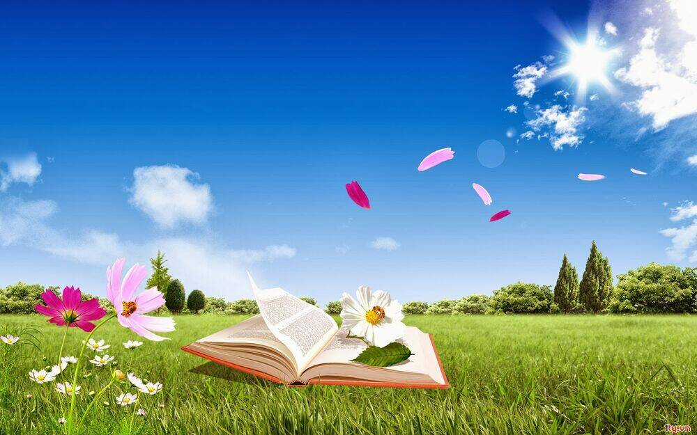 Album Natural Wallpapers - Chapter 5 - Trang 21