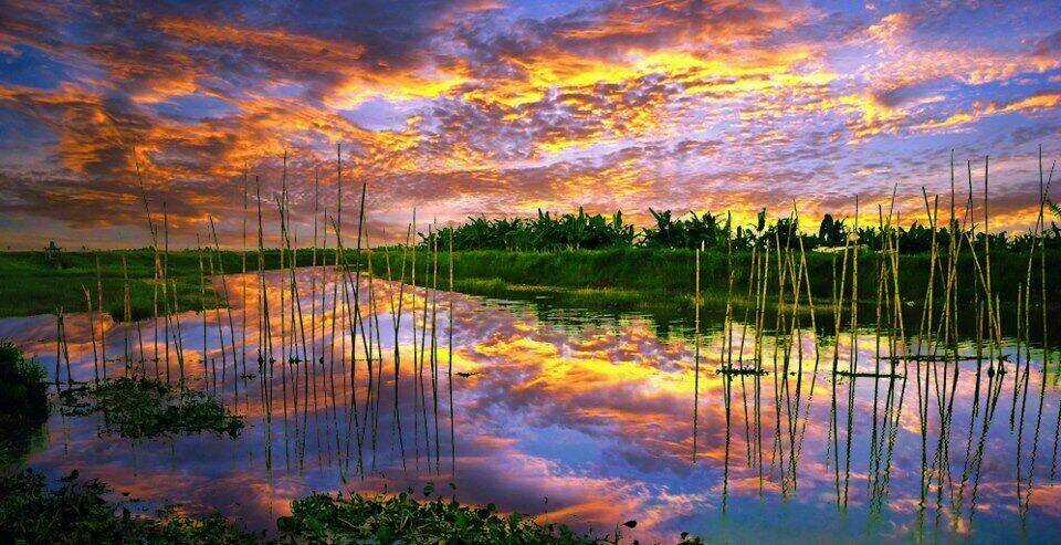 Album Natural Wallpapers - Chapter 7 - Trang 7