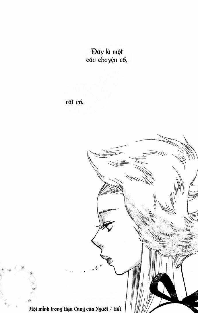 Alone In My King's Harem - Chapter 1 - Trang 50