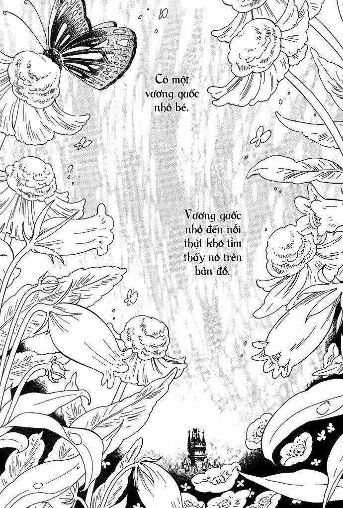 Alone In My King's Harem - Chapter 1 - Trang 6