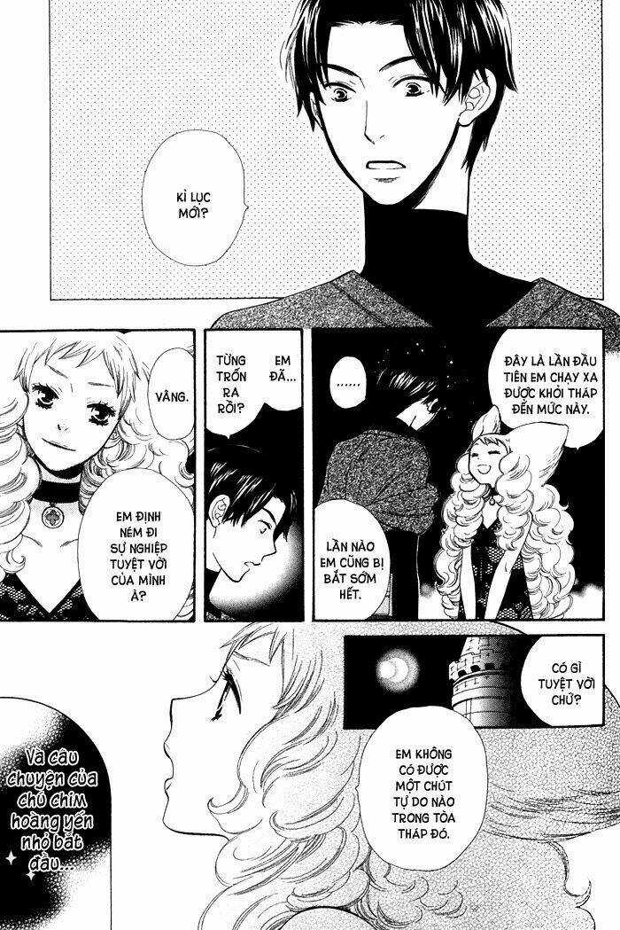 Alone In My King's Harem - Chapter 4 - Trang 12