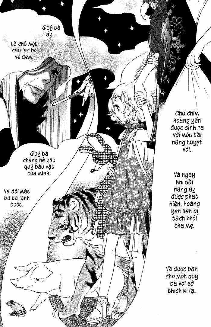 Alone In My King's Harem - Chapter 4 - Trang 13