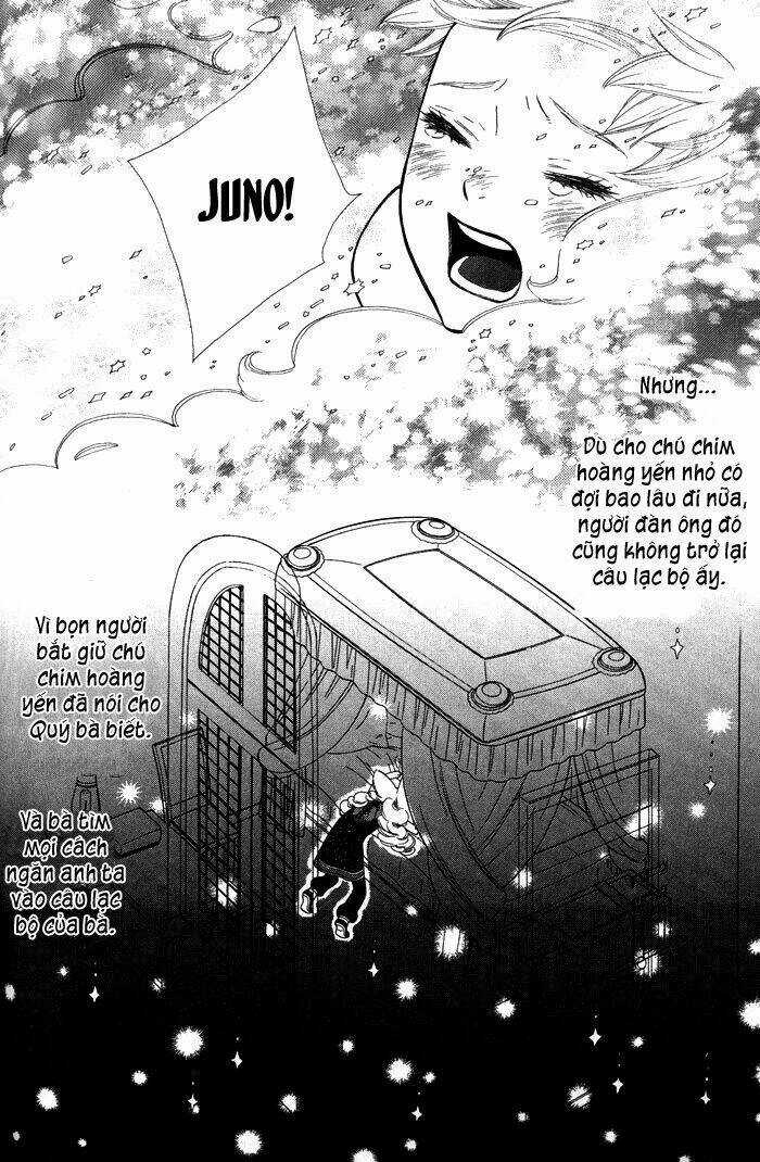 Alone In My King's Harem - Chapter 4 - Trang 19