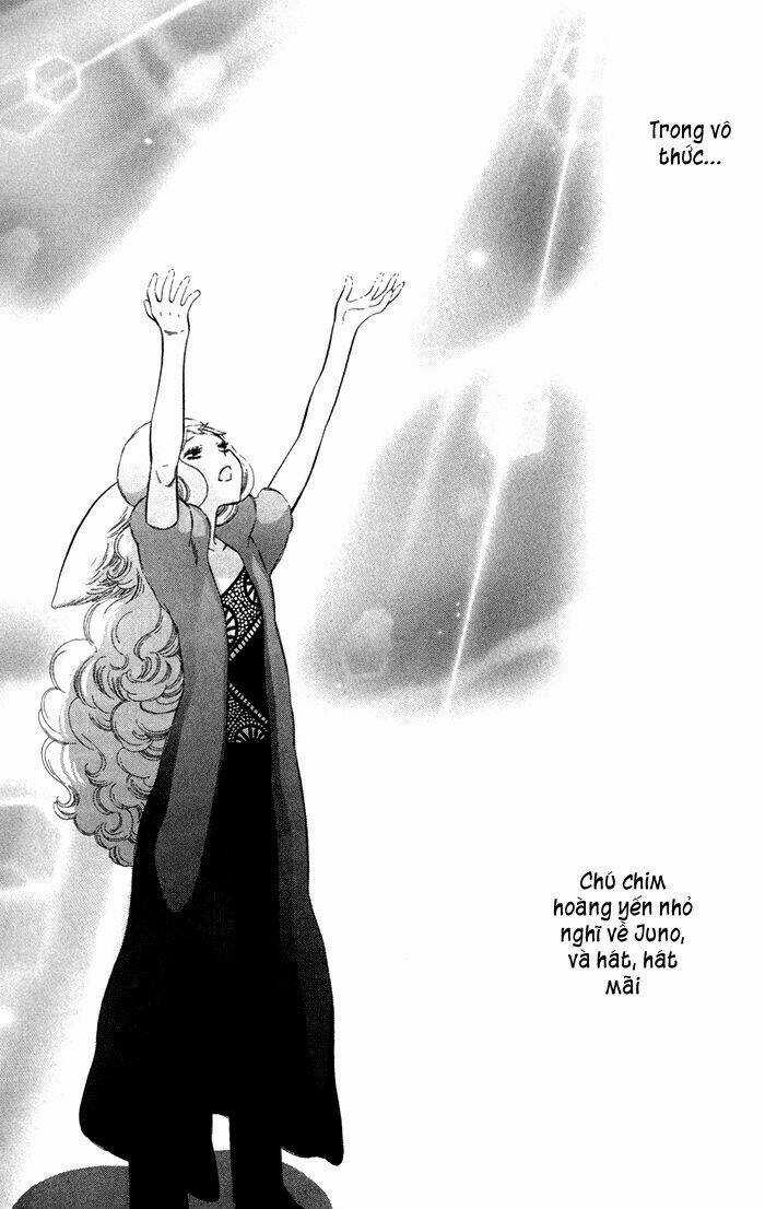 Alone In My King's Harem - Chapter 4 - Trang 20