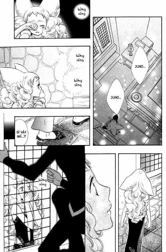 Alone In My King's Harem - Chapter 4 - Trang 22