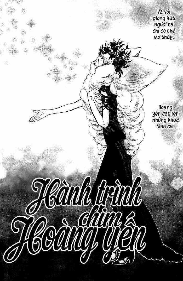 Alone In My King's Harem - Chapter 4 - Trang 5