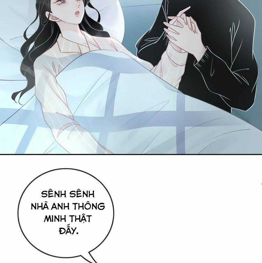 Ám Hắc Hệ Noãn Hôn - Chapter 61 - Trang 29
