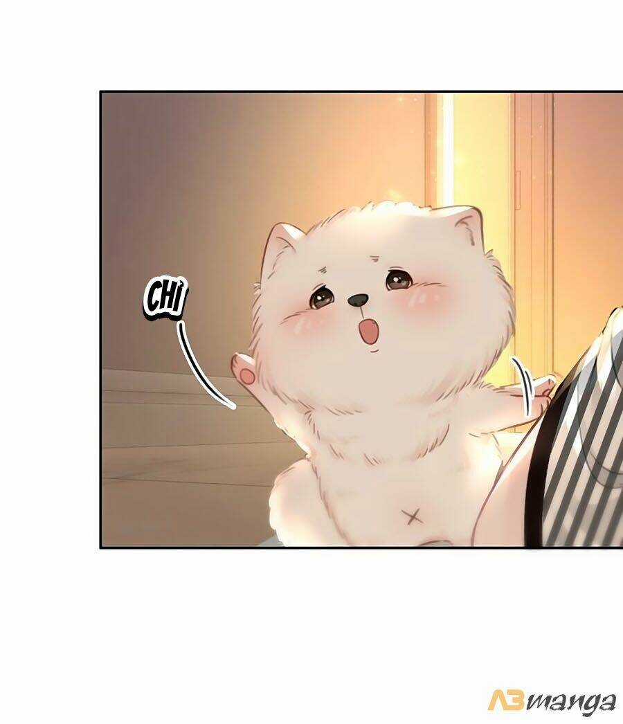 Ám Hắc Hệ Noãn Hôn - Chapter 86 - Trang 33