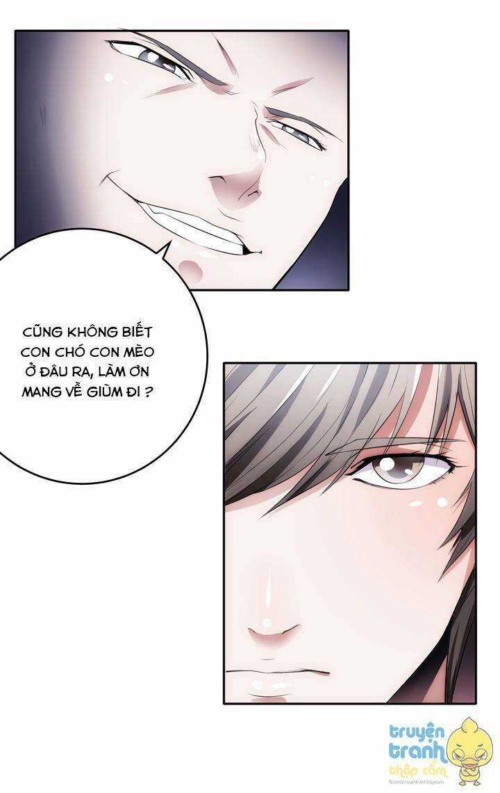 Âm Mưu Bên Gối - Chapter 2 - Trang 35