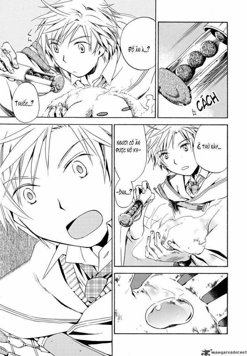 Amagoi - Chapter 4 - Trang 17