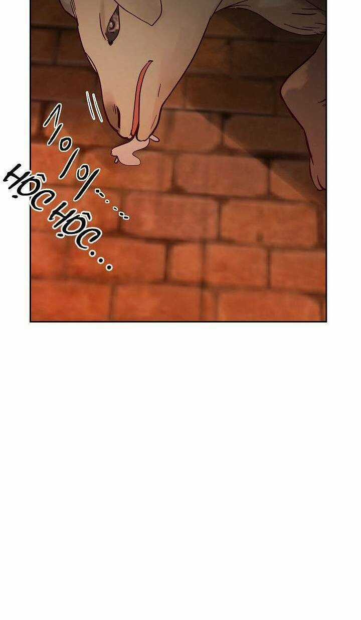 Amina - Nữ Thần Đèn - Chapter 19 - Trang 14