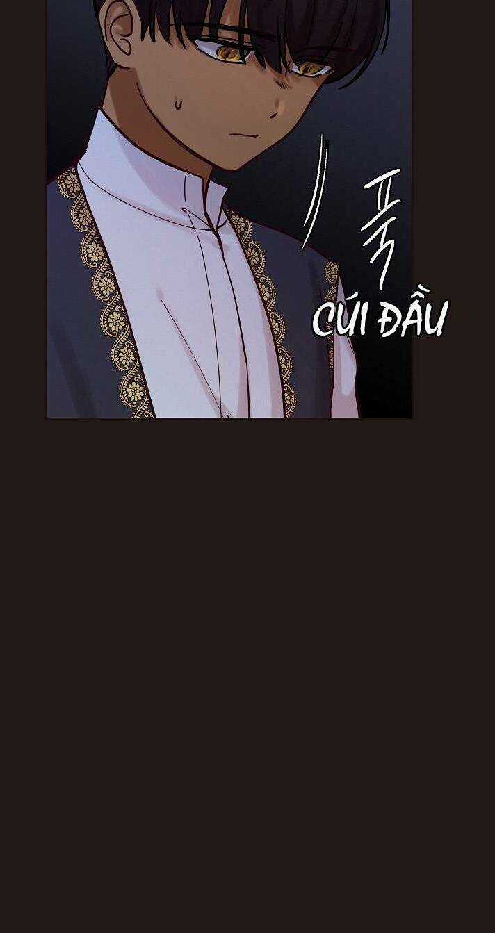 Amina - Nữ Thần Đèn - Chapter 22 - Trang 13