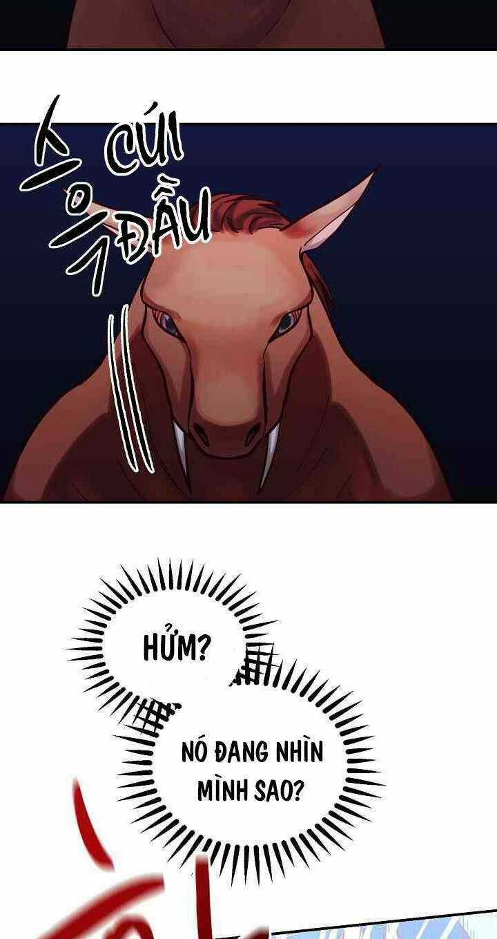 Amina - Nữ Thần Đèn - Chapter 28 - Trang 5